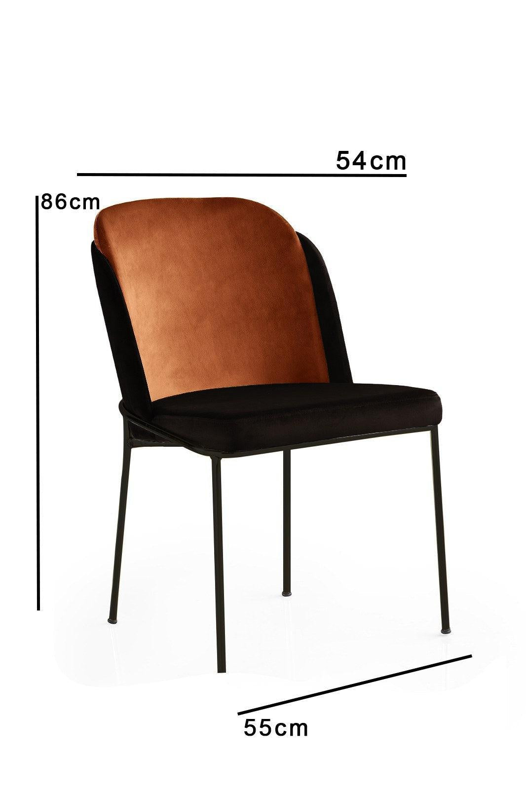 Étkezőszék szett (2 db) DR - 147 V2-VASBÚTOR