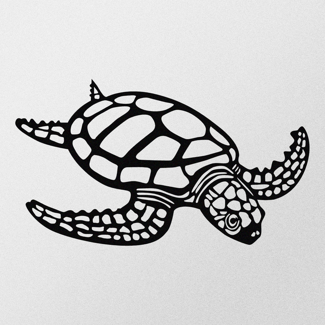 Fém fali dekoráció, Caretta Caretta-VASBÚTOR